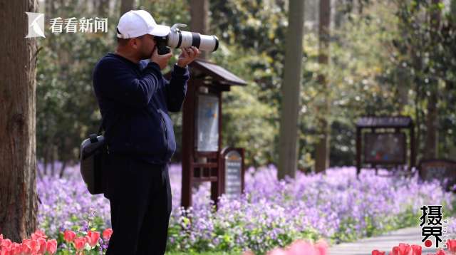 视频 花博园有多美 崇明摄影师带你走进花香童话
